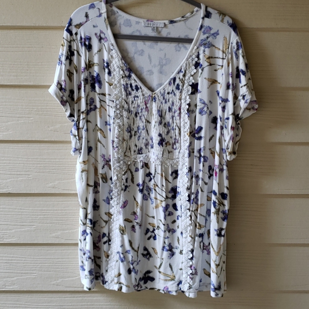 Pale Sky 4x blouse